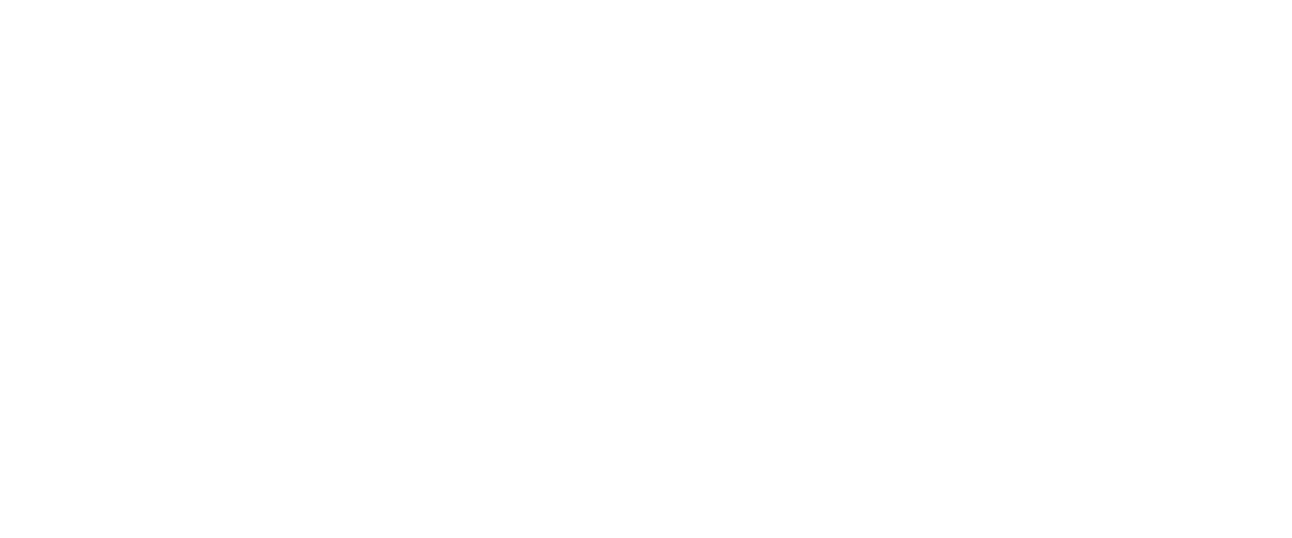 ./Logo CIM dreta blanc.png